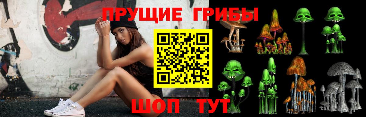 Волгодонск  Псилоцибиновые грибы Cubensis  Вход с VPN 